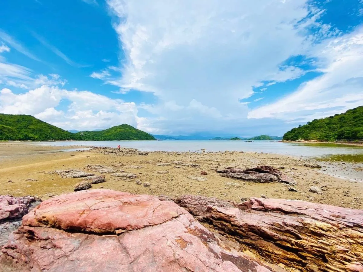 馬料水-荔枝窩（逢星期六，星期日及公眾假期提供服務）4-6月 (4月4日, 單程$45)